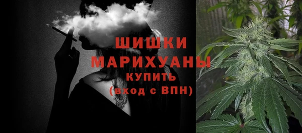 сатива Алексин