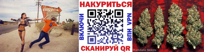 Каннабис индика  Северская 